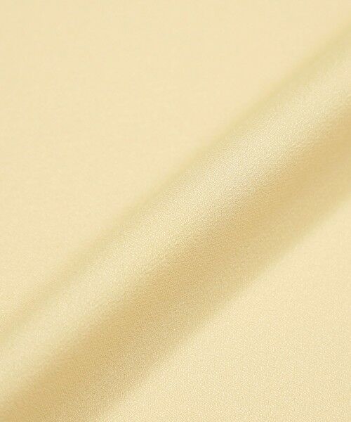 Paul Stuart / ポール・スチュアート シャツ・ブラウス | 【ウォッシャブル/防しわ性】バックサテンジョーゼット　ブラウス | 詳細12