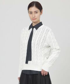 Paul Stuart / ポール・スチュアート ニット・セーター | 【ウォッシャブル】シークインコットン　プルオーバー