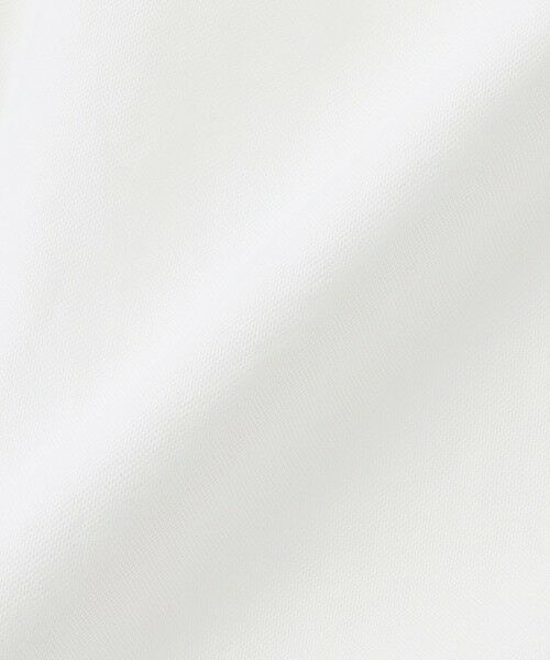 Paul Stuart / ポール・スチュアート シャツ・ブラウス | コットンオックスフォードシャツ | 詳細12