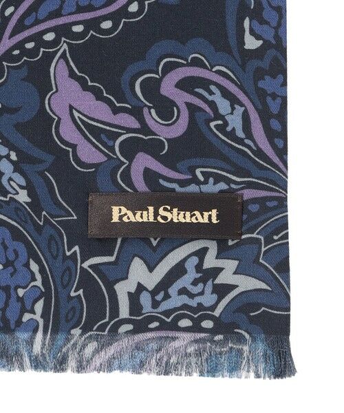 Paul Stuart / ポール・スチュアート マフラー・ショール・スヌード・ストール | カシミール柄ミニストール | 詳細1