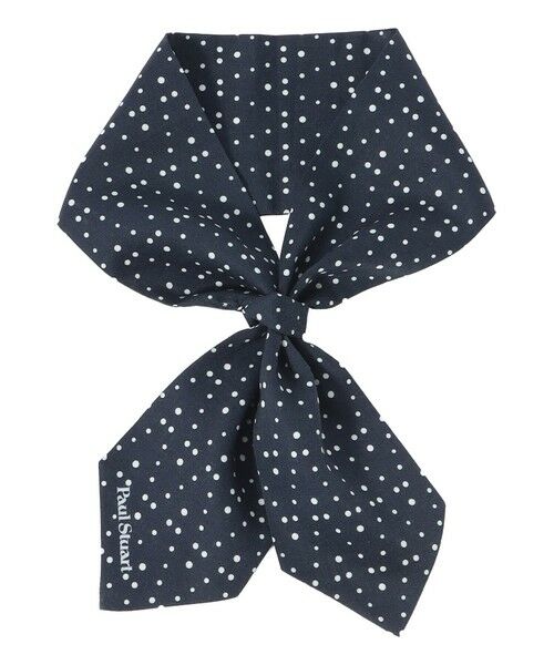 Paul Stuart / ポール・スチュアート マフラー・ショール・スヌード・ストール | 変形ドット柄クラバティーノ（ネイビー1）