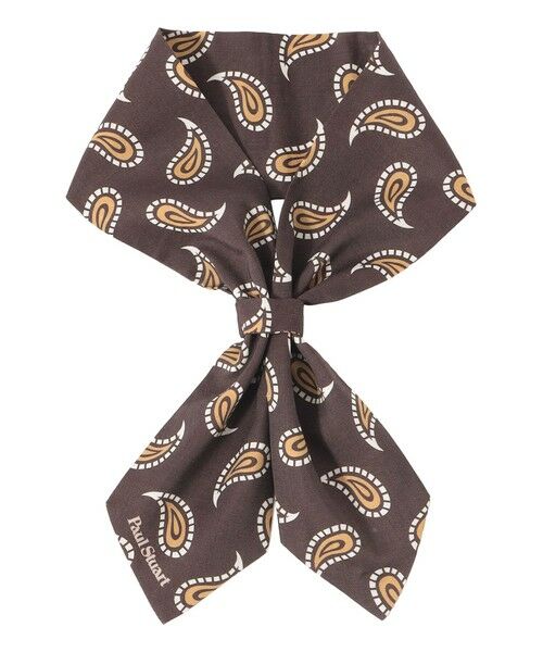 Paul Stuart / ポール・スチュアート マフラー・ショール・スヌード・ストール | 小柄ペイズリー柄クラバティーノ（ブラウン系8）