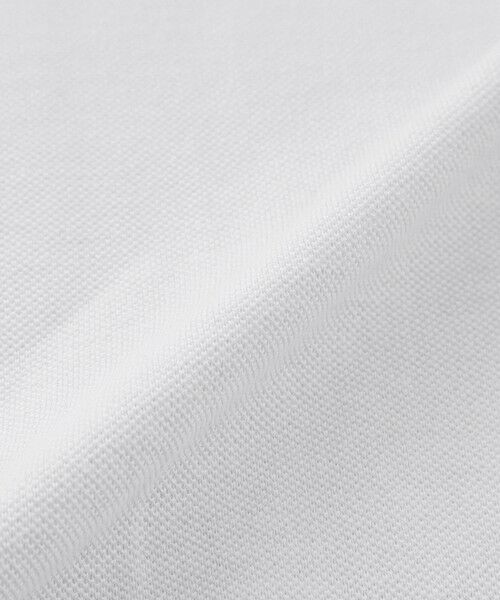 Paul Stuart / ポール・スチュアート カットソー | メランジツイストポロシャツ | 詳細13