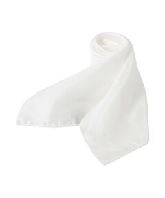 Paul Stuart / ポール・スチュアート その他小物 | シルクスカーフ