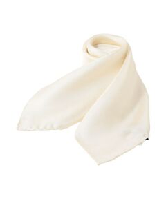 Paul Stuart / ポール・スチュアート その他小物 | シルクスカーフ