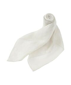 Paul Stuart / ポール・スチュアート マフラー・ショール・スヌード・ストール | 【ウォッシャブル】シアーフラワースカーフ