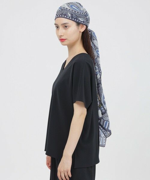 Paul Stuart / ポール・スチュアート シャツ・ブラウス | 【ウォッシャブル/防しわ性】ソフトストレッチ　Vネックブラウス | 詳細1