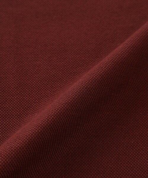 Paul Stuart / ポール・スチュアート カットソー | 鹿の子カッタウェイポロシャツ | 詳細14