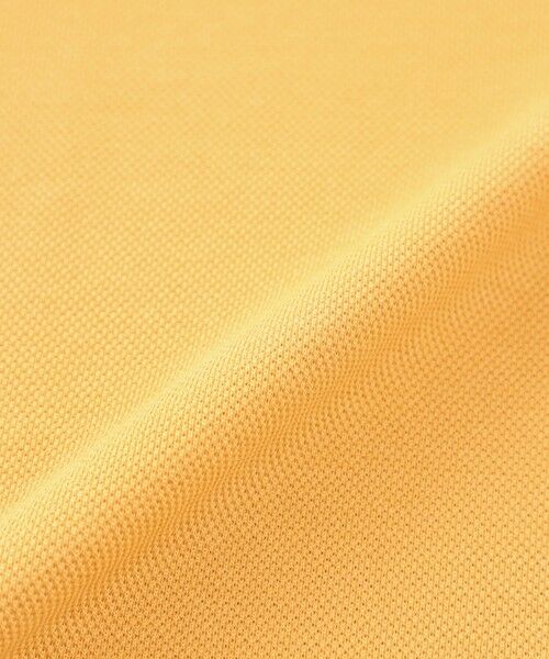 Paul Stuart / ポール・スチュアート カットソー | 鹿の子カッタウェイポロシャツ | 詳細17