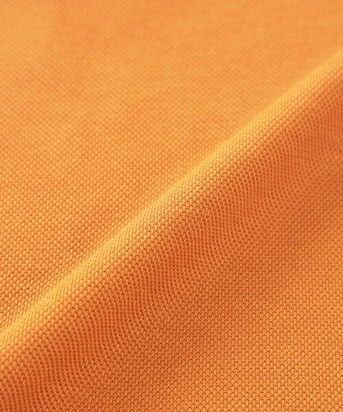 Paul Stuart / ポール・スチュアート カットソー | 鹿の子カッタウェイポロシャツ | 詳細19