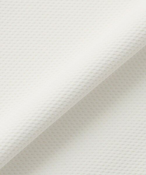 Paul Stuart / ポール・スチュアート カットソー | 【GOLF Women's】アイコニックロゴ・ジャガードポロ | 詳細8