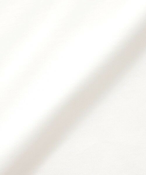 Paul Stuart / ポール・スチュアート カットソー | 【ウォッシャブル】ハイゲージ天竺　プルオーバー | 詳細10