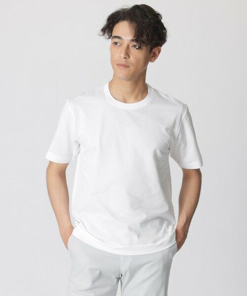 Paul Stuart / ポール・スチュアート カットソー | 【WEB・一部店舗限定】ストライプサッカージャージー半袖Tシャツ（ホワイト）