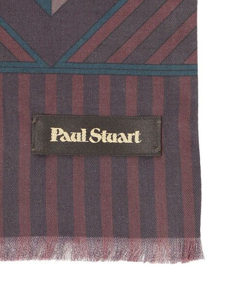 Paul Stuart / ポール・スチュアート マフラー・ショール・スヌード・ストール | ストライプ柄/ミニストール | 詳細1