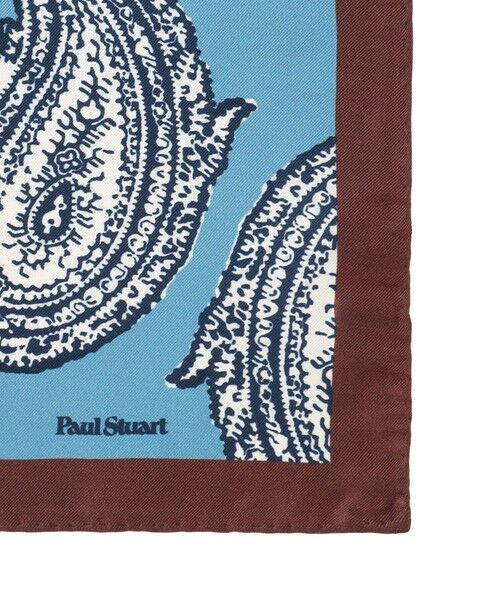 Paul Stuart / ポール・スチュアート その他小物 | ペイズリー柄プリント/チーフ | 詳細2