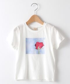 バラフォトプリントTシャツ