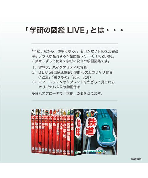 petit main / プティマイン Tシャツ | 【学研の図鑑 LIVE×スイミーデザインラボ】 恐竜アップリケボーダー柄Tシャツ | 詳細15