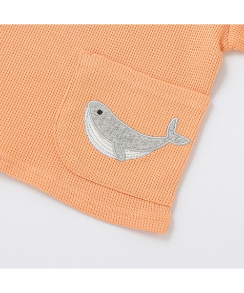 petit main / プティマイン Tシャツ | クジラアップリポケットTシャツ | 詳細6