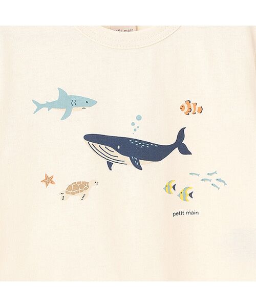 petit main / プティマイン Tシャツ | 【プティプラ】BOYS半袖Tシャツ | 詳細21