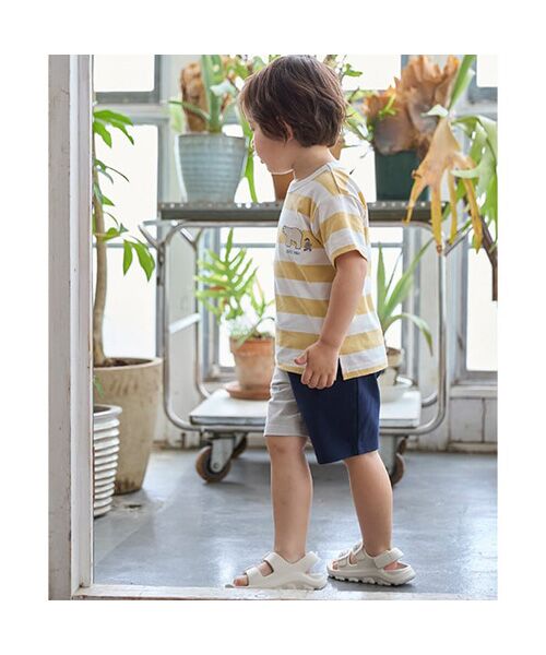 petit main / プティマイン Tシャツ | 【プティプラ】BOYS半袖Tシャツ② | 詳細1