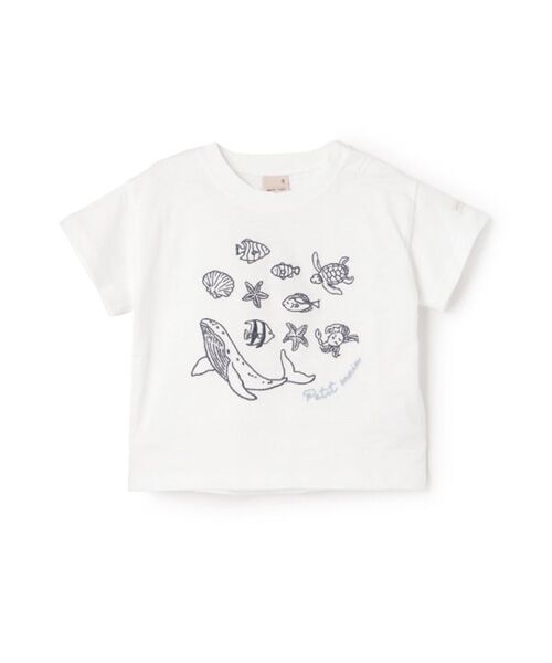 petit main/veB}C yڐG⊴zChJTVc ItzCg 90