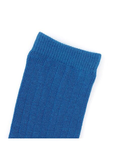 petit main / プティマイン ソックス | 底パイルカラーリブソックス | 詳細1