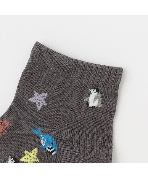 petit main / プティマイン ソックス | BOYS接触冷感ソックス2P | 詳細2