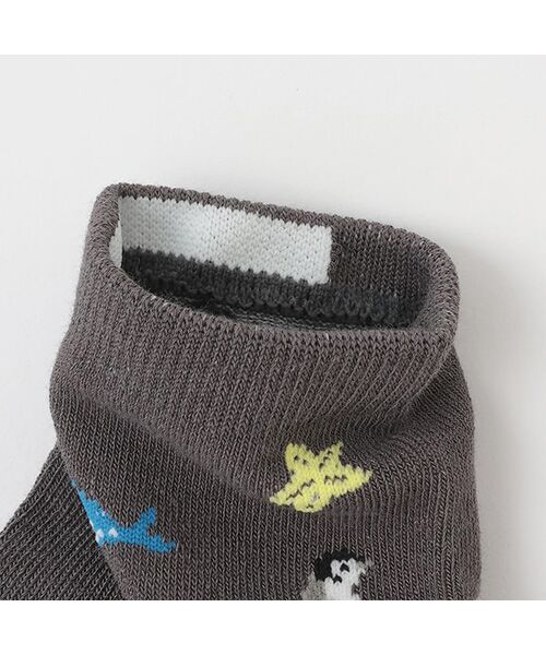 petit main / プティマイン ソックス | BOYS接触冷感ソックス2P | 詳細3