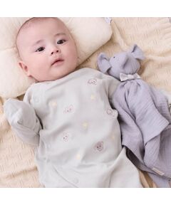 petit main / プティマイン ベビー・キッズグッズ | ｱﾆﾏﾙﾌﾞﾗﾝｷー