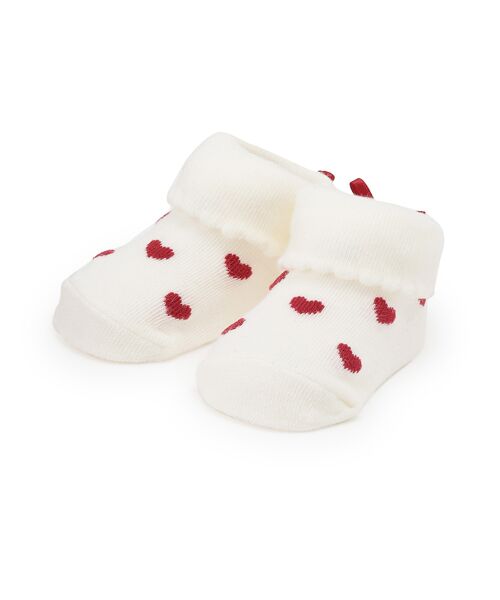 petit main/veB}C ʰĶ߿ ܲ 11-13