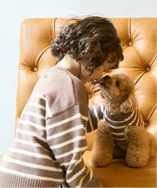 petit main / プティマイン ニット・セーター | 【ウォッシャブル】ボーダーニット | 詳細3