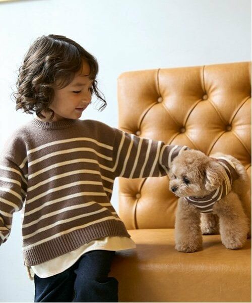 petit main / プティマイン ニット・セーター | 【ウォッシャブル】ボーダーニット（モカ茶）