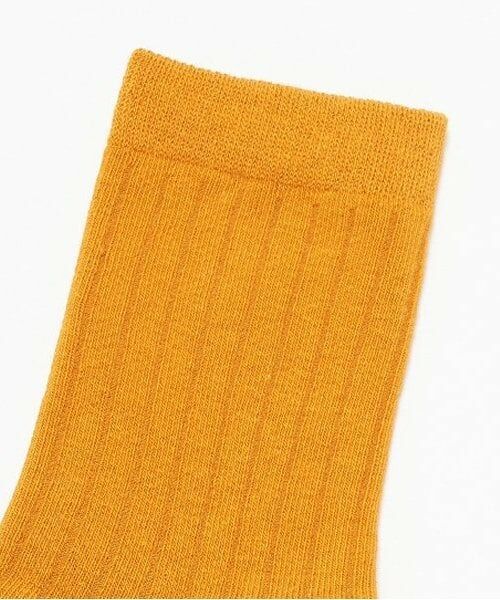 petit main / プティマイン ソックス | カラーソックス | 詳細1