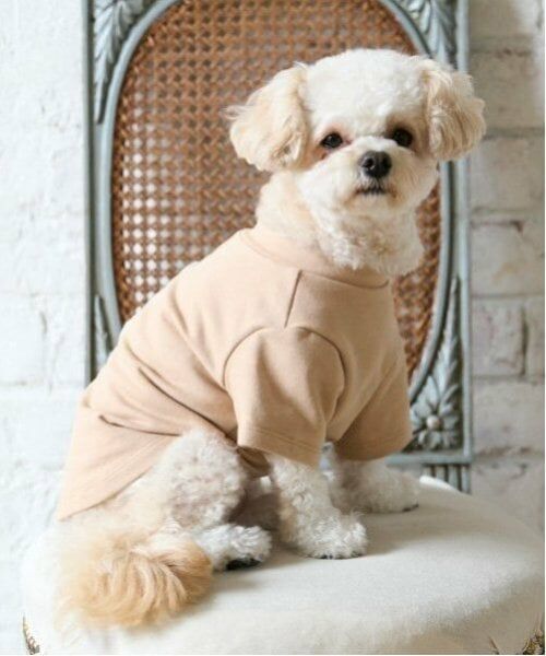 petit main / プティマイン ペットグッズ | 【リンク】【DOG】クマサガラワッペントレーナー | 詳細1