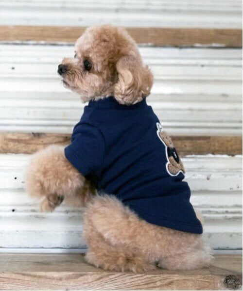 petit main / プティマイン ペットグッズ | 【リンク】【DOG】クマサガラワッペントレーナー | 詳細3