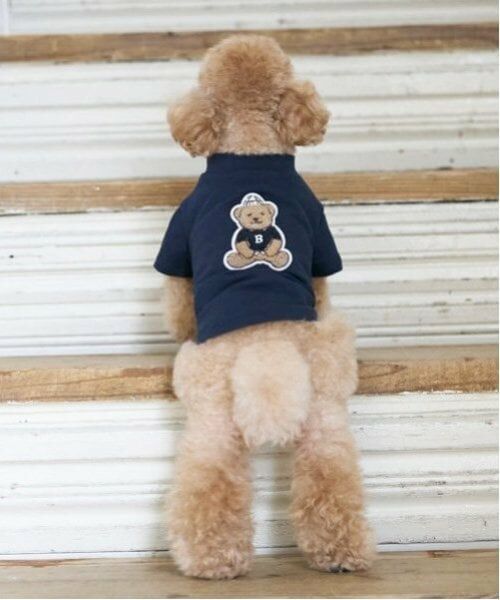 petit main / プティマイン ペットグッズ | 【リンク】【DOG】クマサガラワッペントレーナー | 詳細4