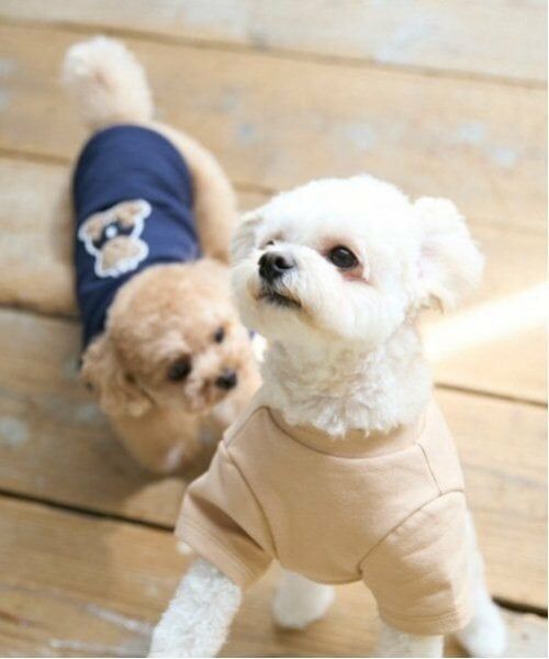 petit main / プティマイン ペットグッズ | 【リンク】【DOG】クマサガラワッペントレーナー | 詳細5