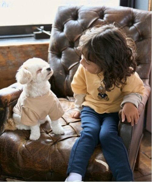 petit main / プティマイン ペットグッズ | 【リンク】【DOG】クマサガラワッペントレーナー | 詳細6