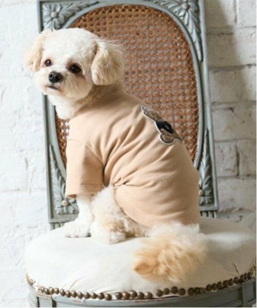 petit main / プティマイン ペットグッズ | 【リンク】【DOG】クマサガラワッペントレーナー（クリーム）