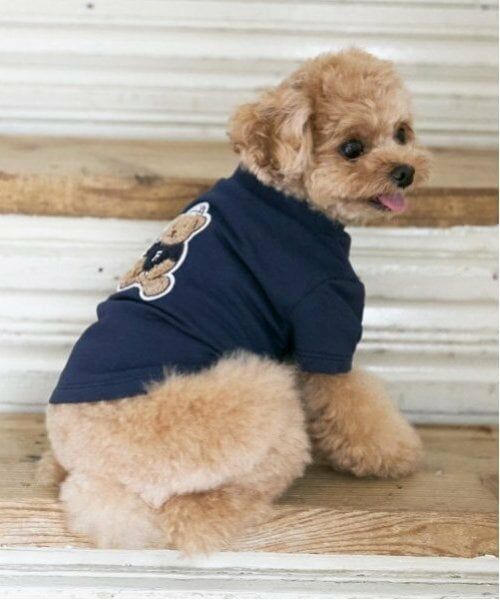 petit main / プティマイン ペットグッズ | 【リンク】【DOG】クマサガラワッペントレーナー（紺）