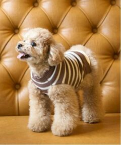 petit main / プティマイン ペットグッズ | 【リンク】【DOG】ボーダーニットタンク