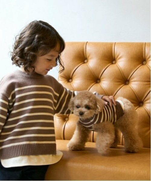 petit main / プティマイン ペットグッズ | 【リンク】【DOG】ボーダーニットタンク | 詳細2