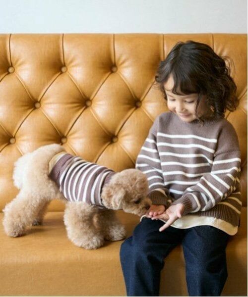 petit main / プティマイン ペットグッズ | 【リンク】【DOG】ボーダーニットタンク | 詳細3