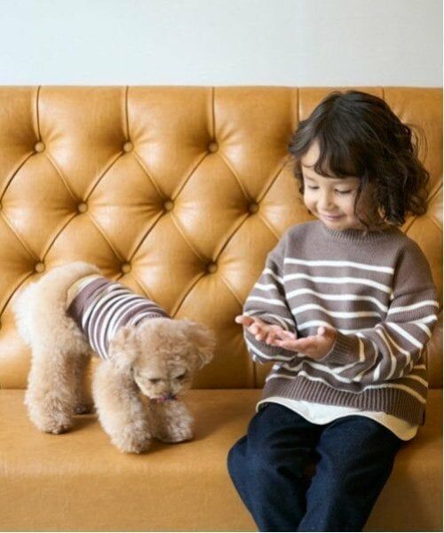 petit main / プティマイン ペットグッズ | 【リンク】【DOG】ボーダーニットタンク | 詳細4