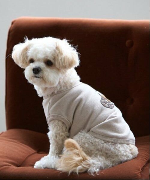 petit main / プティマイン ペットグッズ | 【リンク】【DOG】サガラモチーフタンク | 詳細1