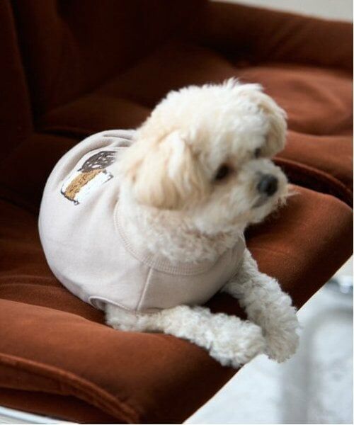 petit main / プティマイン ペットグッズ | 【リンク】【DOG】サガラモチーフタンク | 詳細21