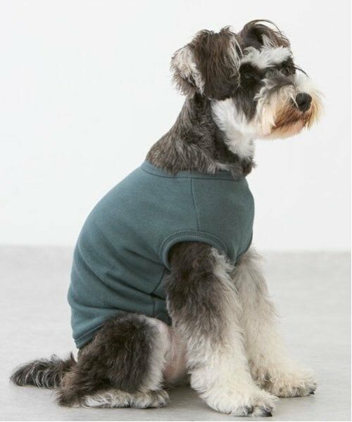 petit main / プティマイン ペットグッズ | 【リンク】【DOG】サガラモチーフタンク | 詳細24