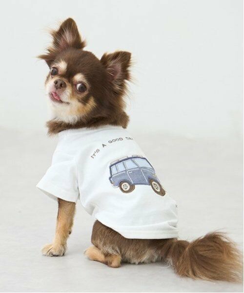 petit main / プティマイン ペットグッズ | 【リンク】【DOG】乗り物アップリケTシャツ（オフ ホワイト）