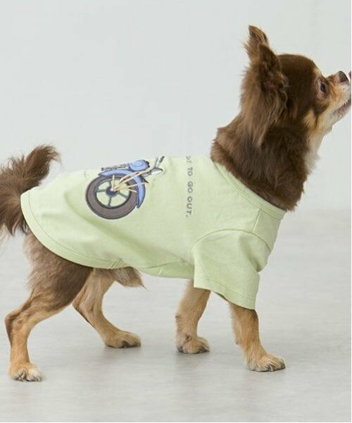 petit main / プティマイン ペットグッズ | 【リンク】【DOG】乗り物アップリケTシャツ（ライト グリーン）