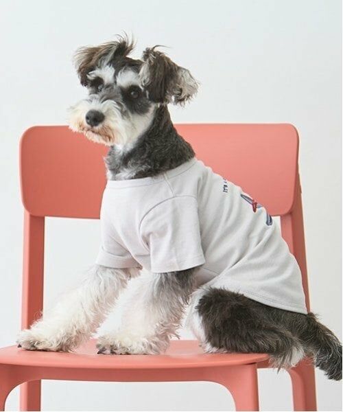 petit main / プティマイン ペットグッズ | 【リンク】【DOG】乗り物アップリケTシャツ | 詳細1